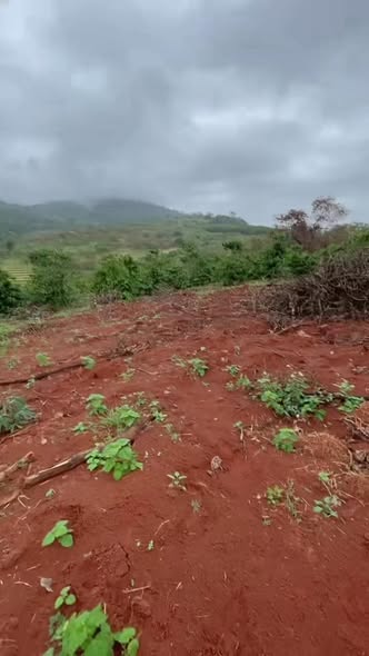 Lô đất Farm Ea Khal 1.6ha giá 1.75 tỷ - Đầu tư sinh lời ngay!