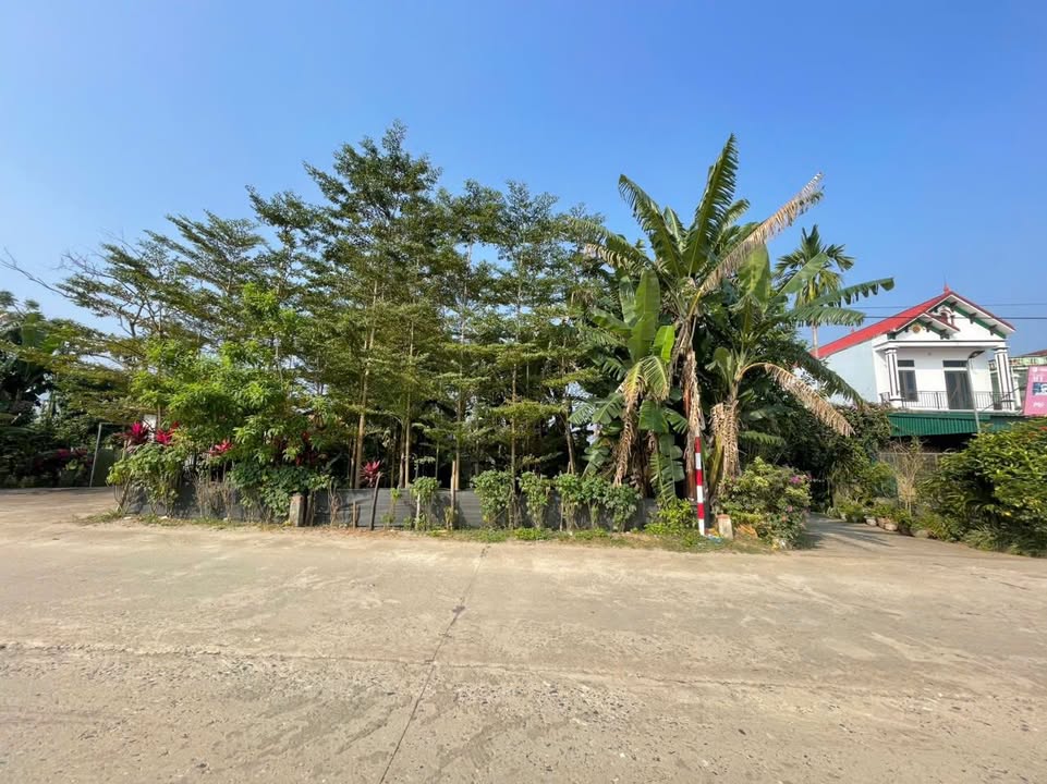 Lô đất Tu Vũ, Thanh Thủy 150m² giá chỉ 1 tỷ - View Sông Đà tuyệt đẹp!