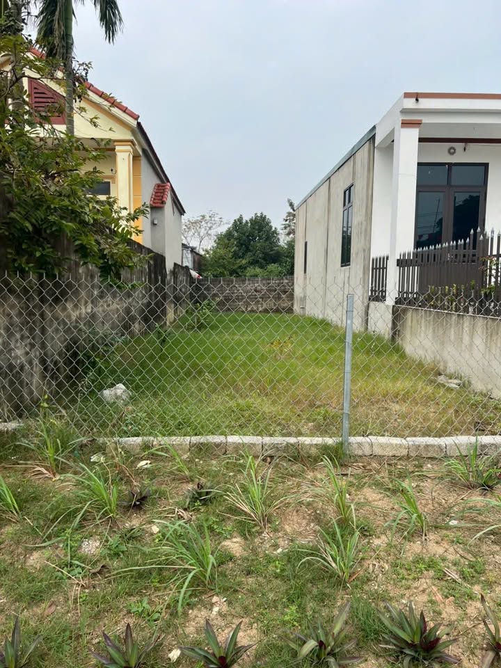 Đất nền thị trấn Nga Sơn 100m² giá 600 triệu - Sổ đỏ chính chủ, đầu tư sinh lời!