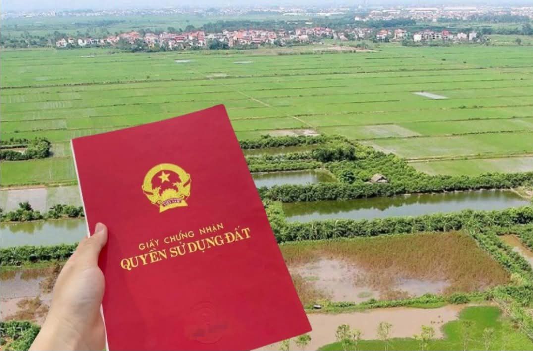 Đất trang trại 1.268m² tại Sơn Dương, Hạ Long - Giá chỉ 2.916 tỷ hấp dẫn!