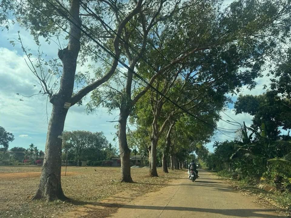 Đất thổ cư đường N7, phường Tân An, 225m² giá 1.55 tỷ - Cơ hội đầu tư tuyệt vời!