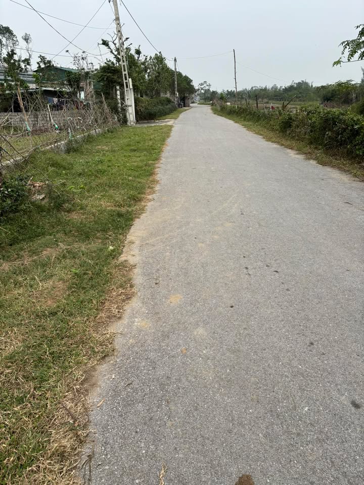 Đất nền 150m² tại Xuân Phổ, Nghi Xuân - Giá chỉ 1.2 tỷ, cơ hội đầu tư tuyệt vời!