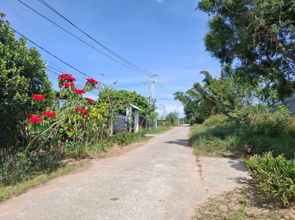 Bán đất thổ cư xã Vinh Quang, Kon Tum 180m² giá 500 triệu - Đường bê tông, khu dân cư đông đúc