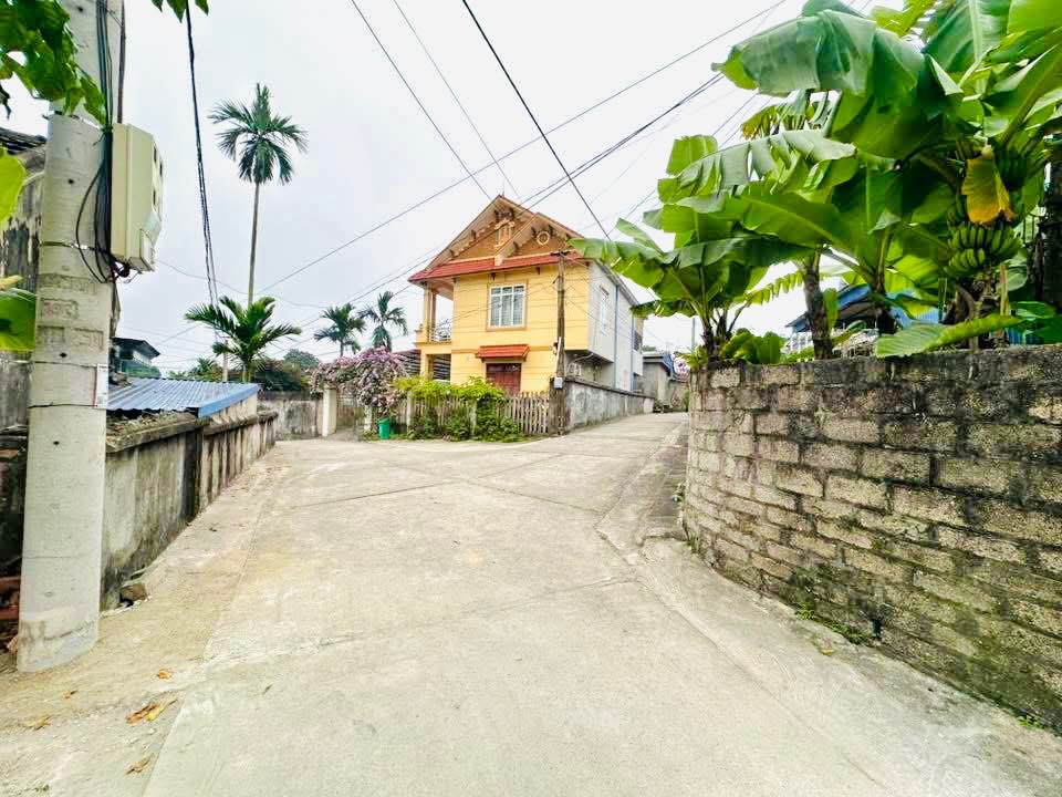 Lô đất đẹp đường Z115, gần Đại học CNTT, diện tích 155m² chỉ 2 tỷ - Đầu tư sinh lời!