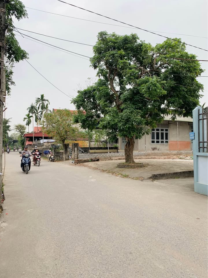 Đất lô góc Tràng An Bình Lục 100m² giá chỉ 1.4 tỷ - Cơ hội đầu tư tốt!