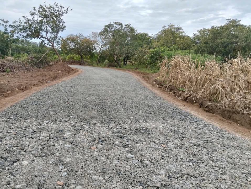 Đất nền Tân Tiến Bù Đốp 3600m² giá 280 triệu - Mặt tiền đường nhựa thuận lợi!