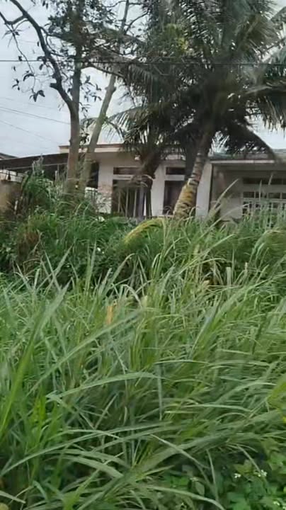 Nhà mặt tiền Quốc lộ 14, phường Bình Tân, Đắk Lắk 280m² giá 3 tỷ - Đầu tư sinh lời hấp dẫn!