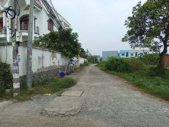 Đất vườn 230m² Phước Hậu, Cần Giuộc - Sổ đỏ chính chủ, giá chỉ 1.2 tỷ!