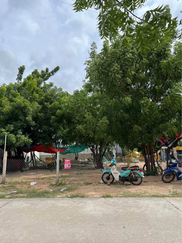 Đất cho thuê tại Khu Tái Định Cư Khánh Hội 256m² - Thích hợp kinh doanh ngay!