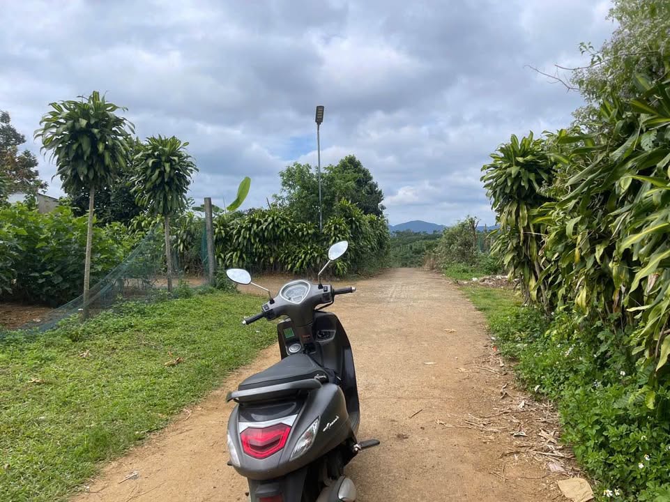 Đất mặt tiền hẻm Lê Phụng Hiểu, Lộc Châu, 282m² giá 1.7 tỷ - Đầu tư sinh lời ngay!