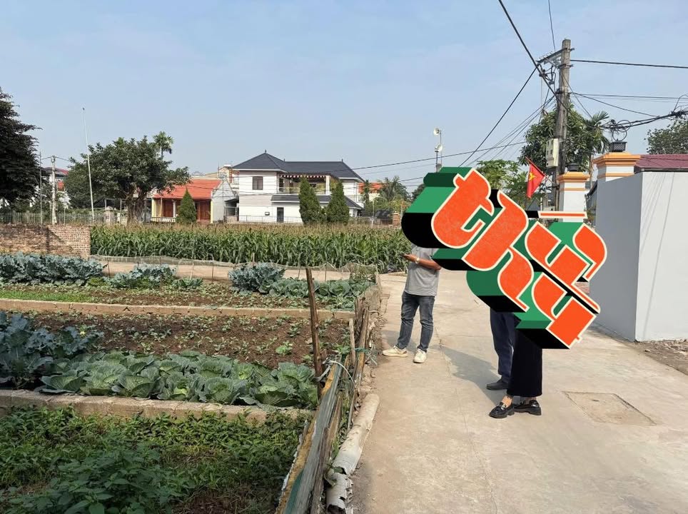 Đất nền Tự Nhiên Thường Tín 55.6m² giá 3 tỷ - Ô tô vào tận nơi!