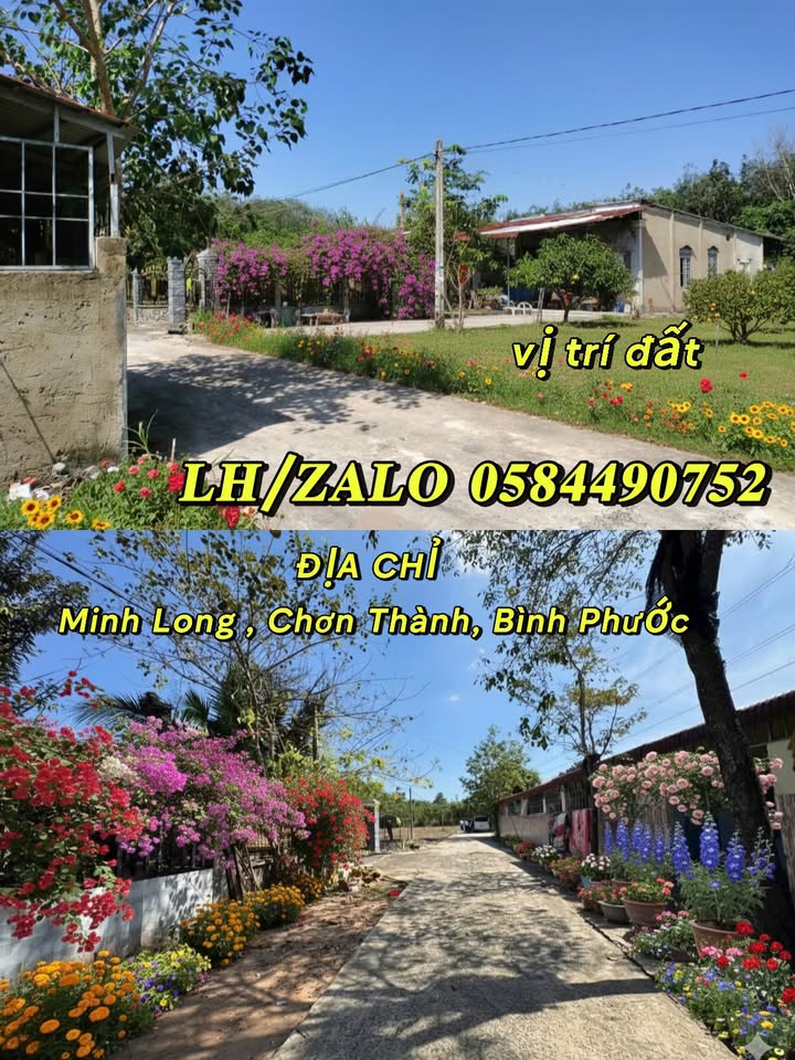 Đất thổ cư 220m² 1 Xẹt Đường ĐT 748B, Minh Long - Giá chỉ 500 triệu!