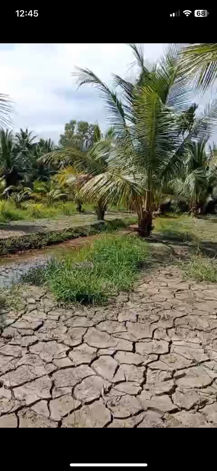 Đất nền Giồng Trôm Bến Tre 1700m² giá 864 triệu - Cao ráo, vị trí thuận lợi!