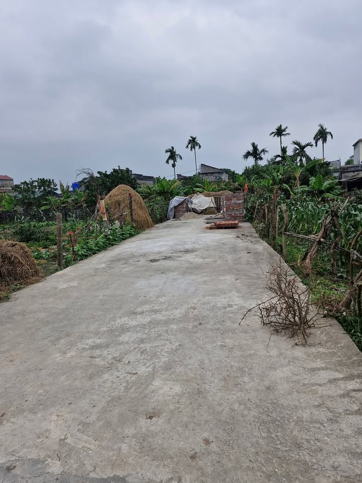 Nhà riêng Kiến Xương Thái Bình 96m² - Không lỗi phong thủy, ô tô quay đầu!