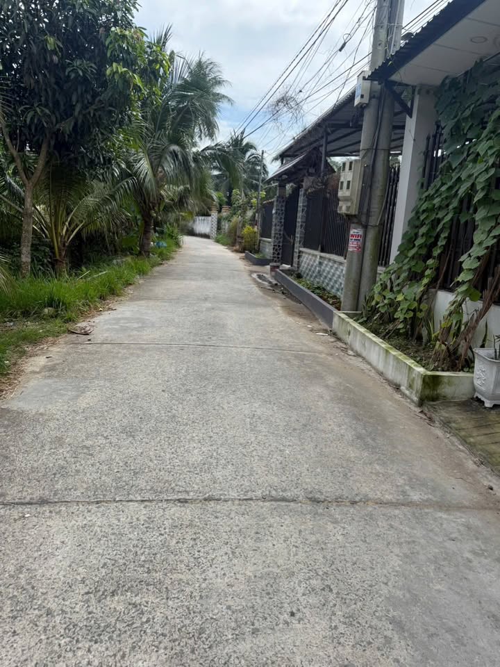 Đất nền Hữu Định Châu Thành 569m² giá 650 triệu - Tiềm năng đầu tư cao!