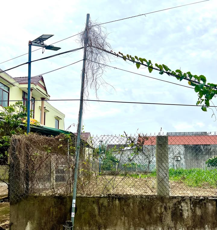 Đất Tịnh An 102m² giá 820 triệu - Đường 5m thông thoáng, gần đường nhựa!