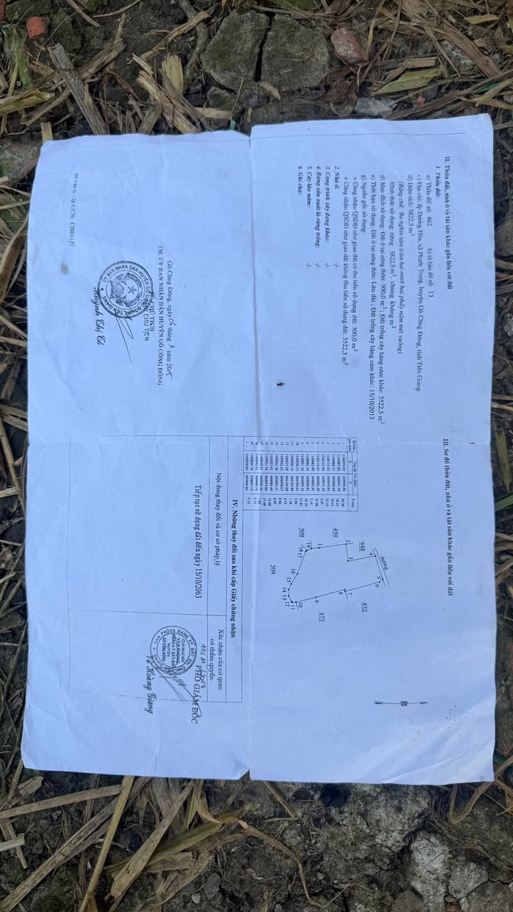 Đất thổ cư 300m² tại xã Tân Hòa, huyện Gò Công Đông - Giá chỉ 450 triệu!