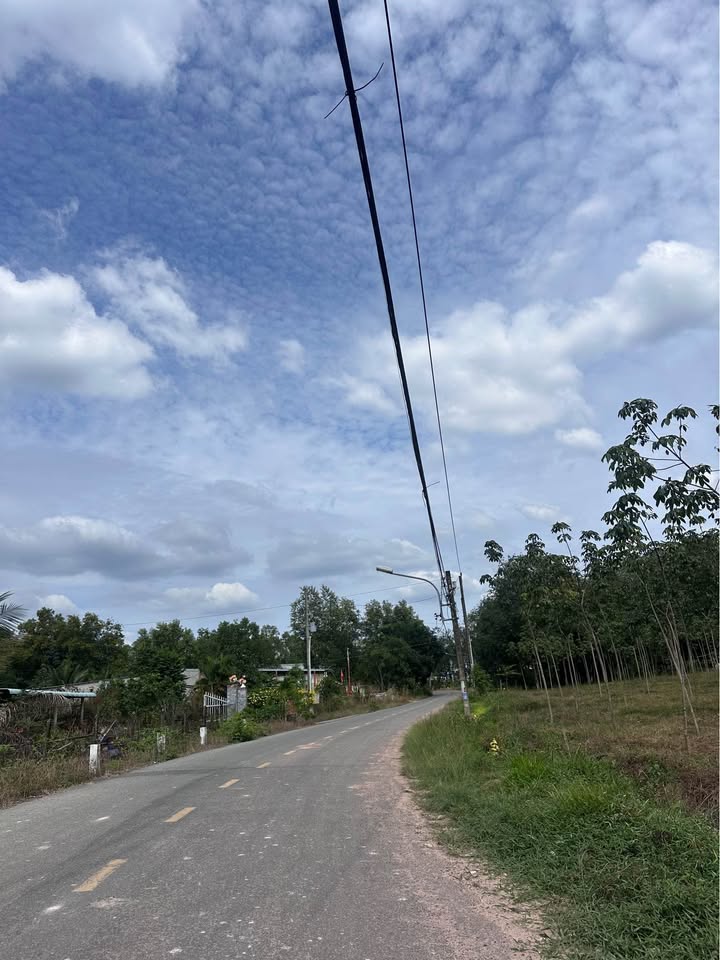 Đất nền Long Nguyên Bàu Bàng 2ha giá thỏa thuận - Tiềm năng phát triển vượt bậc!