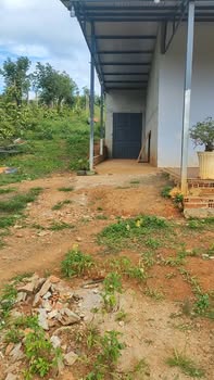 Nhà cấp 4 Đắk Wer, Đắk R'Lấp 1008m² giá 949 triệu - Cơ hội đầu tư tuyệt vời!