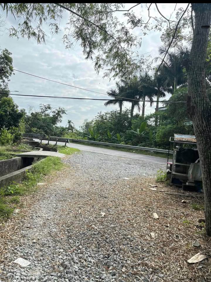 Đất nền Hải Xuân Móng Cái 130m² chỉ 1 tỷ - Cơ hội đầu tư không thể bỏ lỡ!