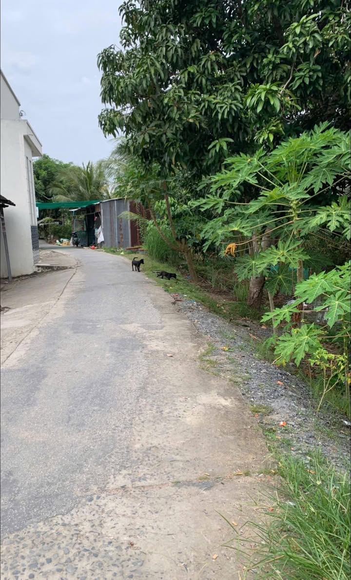 Nhà kiên cố Vĩnh Trạch An Giang 72m² giá chỉ 600 triệu - Cơ hội đầu tư tuyệt vời!