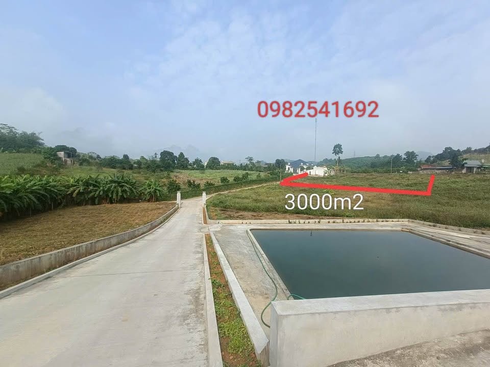 Bán lô góc đất Thị trấn Cao Phong 3000m² - Vị trí vàng, tiện ích đầy đủ!