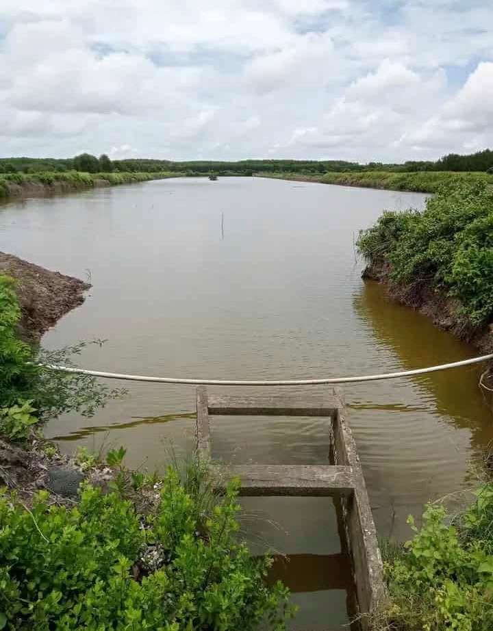 Đất nông nghiệp 30.000m² tại ấp Xẻo Mắm, giá 1.27 tỷ - Cần bán gấp!