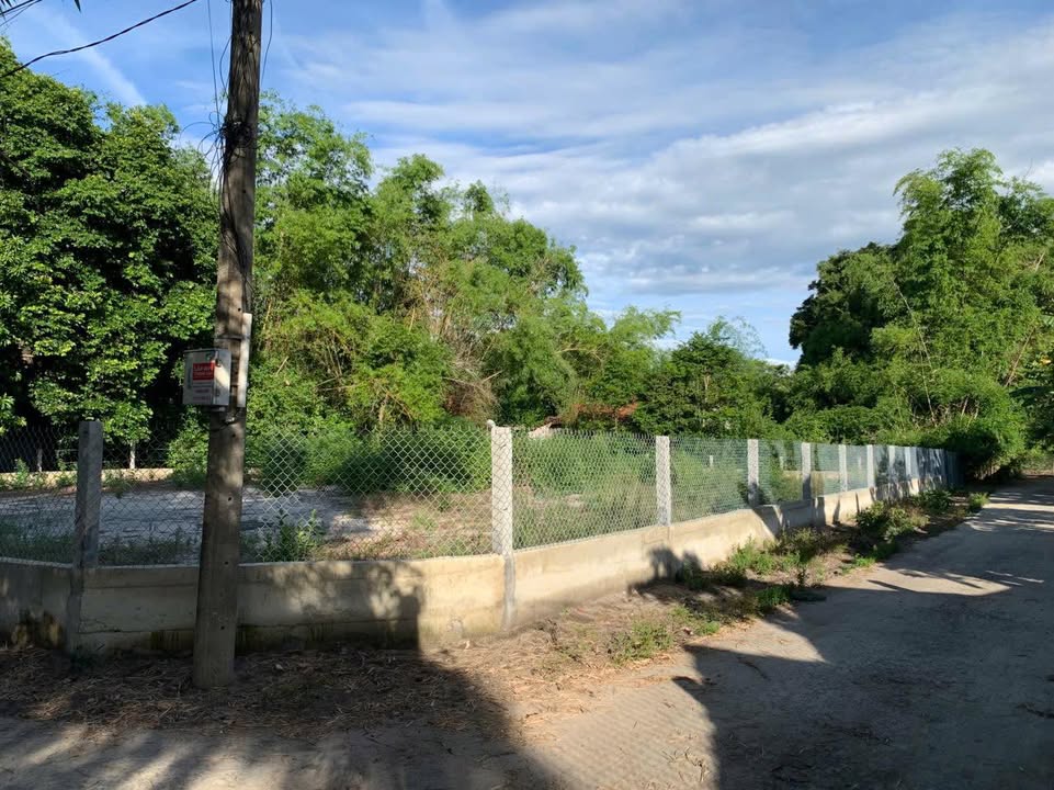 Đất vườn Tam Thăng - Tam Kỳ 800m² giá 1.9 tỷ - Lô góc 2 mặt tiền thuận lợi!