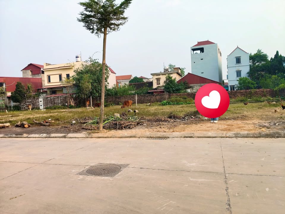 Lô đất đấu giá Tiến Thắng, Mê Linh 119m² giá chỉ 5x triệu/m² - Mặt tiền rộng, view đẹp!