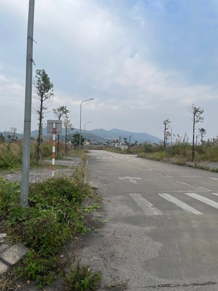 Đất nền Feli City Trưng Vương 90m² giá 1.3 tỷ - Cơ hội sinh lời tuyệt vời!