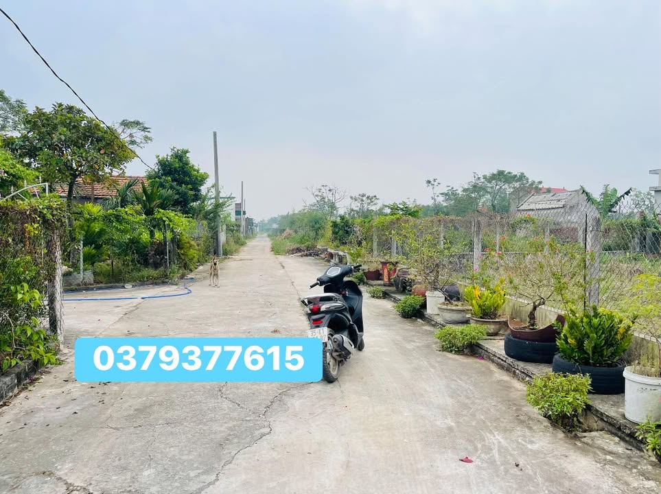 Đất nền Xóm 3, xã Kim Trung, 260m² chỉ 550 triệu - Cơ hội đầu tư hấp dẫn!