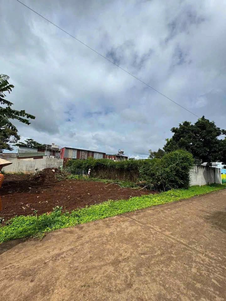 Nhà bán gấp Trần Kiên, Tân Lập, Buôn Ma Thuột 110m² giá 1.95 tỷ - Hướng Đông, thổ cư 100%!