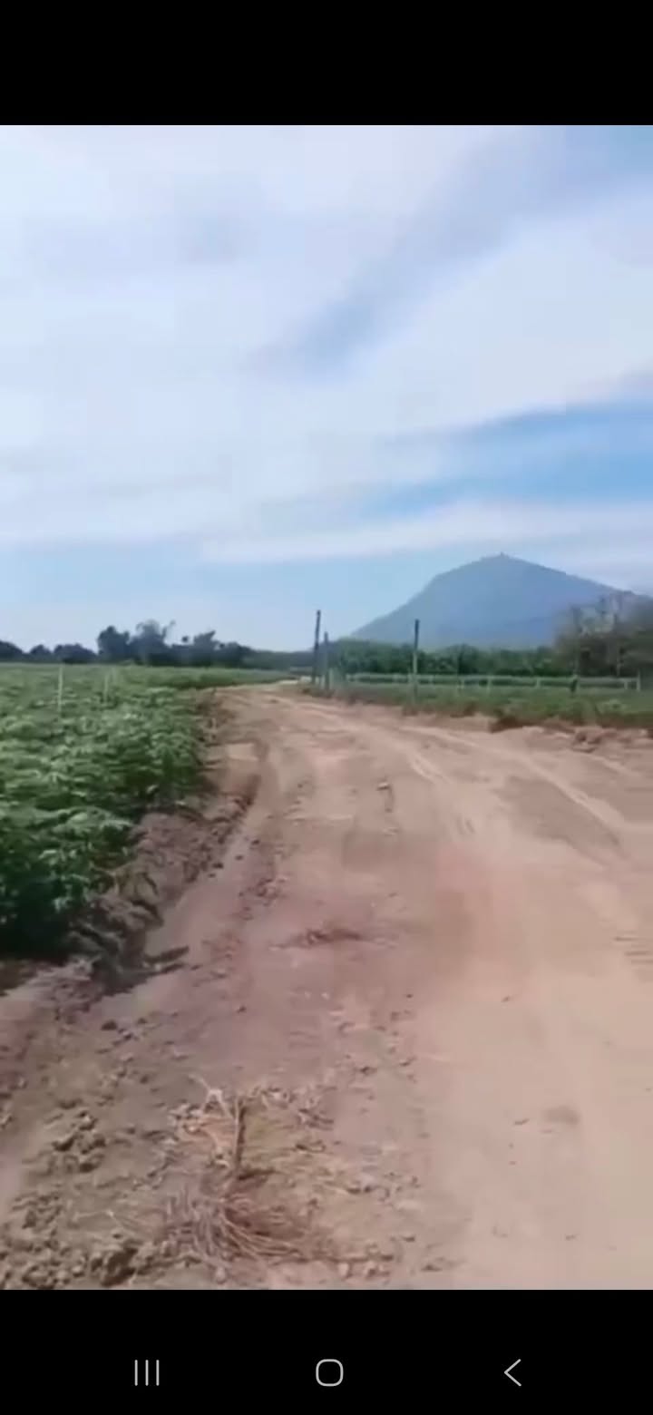 Đất nền Suối Đá, Dương Minh Châu 1600m² giá chỉ 370 triệu - Nhanh tay sở hữu ngay!