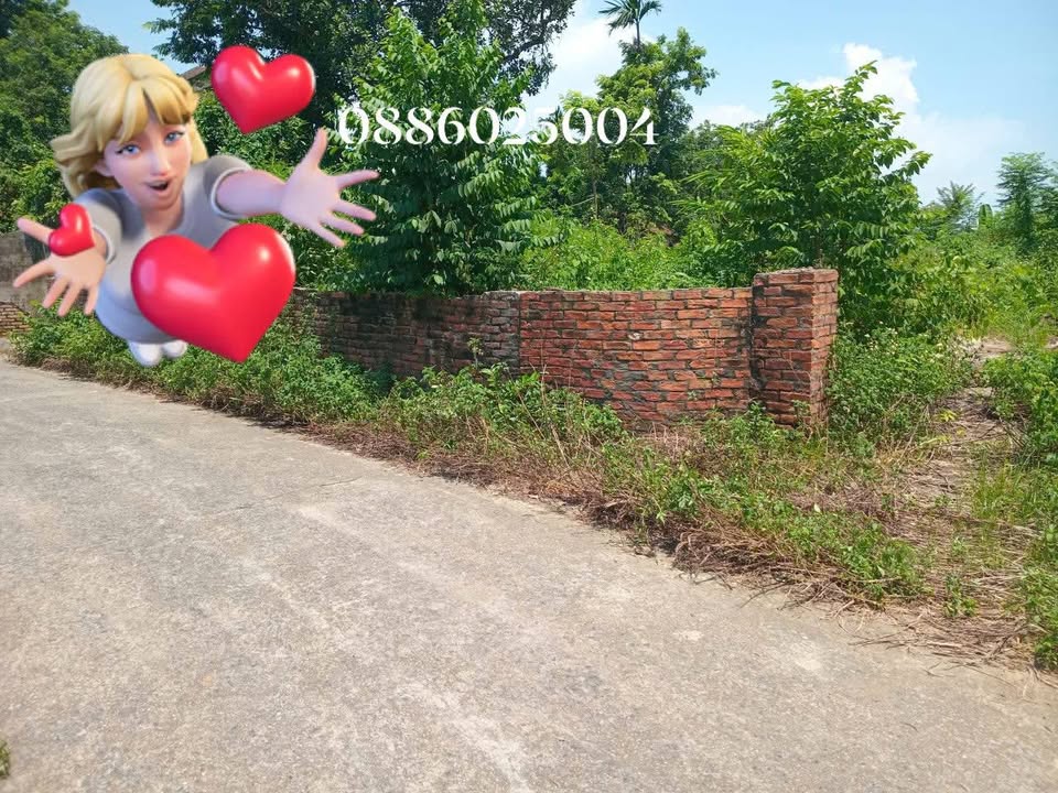 Đất thổ cư 1061m² tại Yên Kiện, Đông Sơn, Chương Mỹ - Cơ hội đầu tư hiếm có!