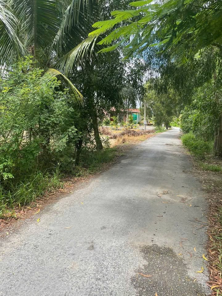 Đất nền 975m² tại Ấp 4, xã Tân Hòa Thành, giá 975 triệu - Cơ hội đầu tư vàng!