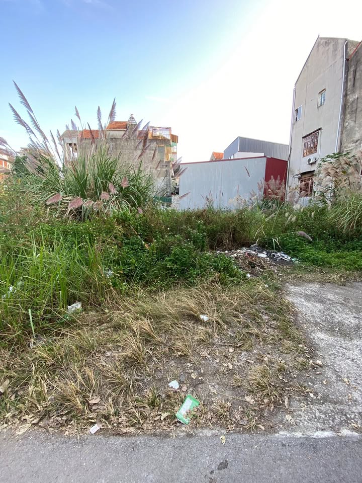 Đất nền 100m² hướng Tây Bắc tại phường Hoàng Văn Thụ, giá 3 tỷ - Cơ hội đầu tư sinh lời!