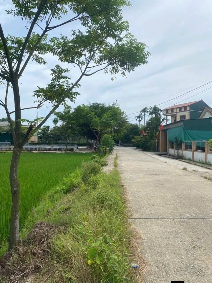 Đất Thạch Hội 253m² giá 1.1 tỷ - Đầu tư sinh lời ngay!