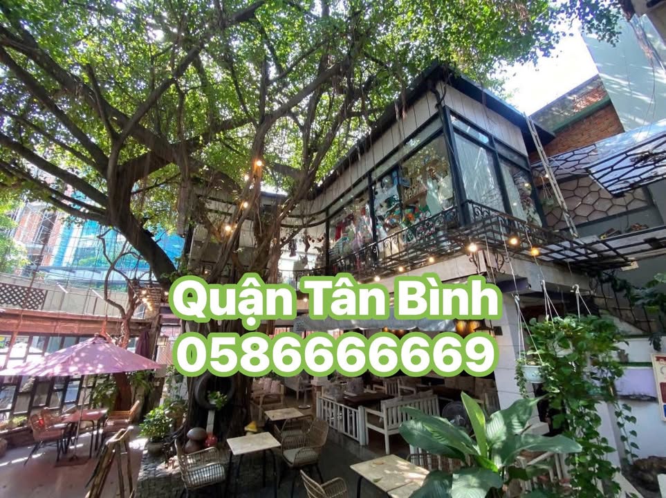 Cho thuê mặt bằng mặt phố Bành Văn Trân, Tân Bình 275m² - Full nội thất sang trọng!
