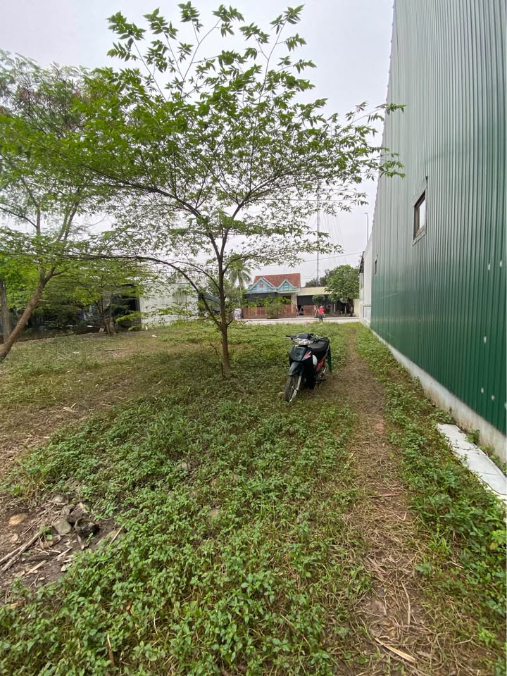 Đất nền đường Sóng Hồng Thủy Châu 248m² giá 6.486 tỷ - View hồ tuyệt đẹp!