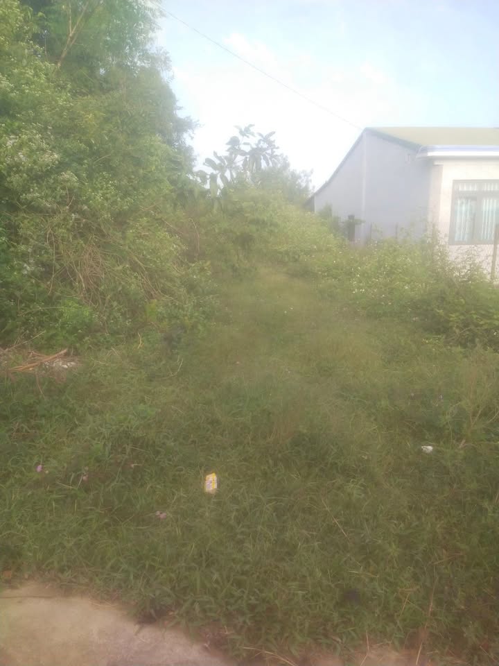 Đất mặt tiền đường Nam Hải, Krông Nô 484m² giá 450 triệu - Cơ hội đầu tư hấp dẫn!