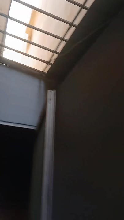 Căn nhà cho thuê tại phường Tân Sơn 176m² giá 50 triệu - Vị trí kim cương gần sân bay!