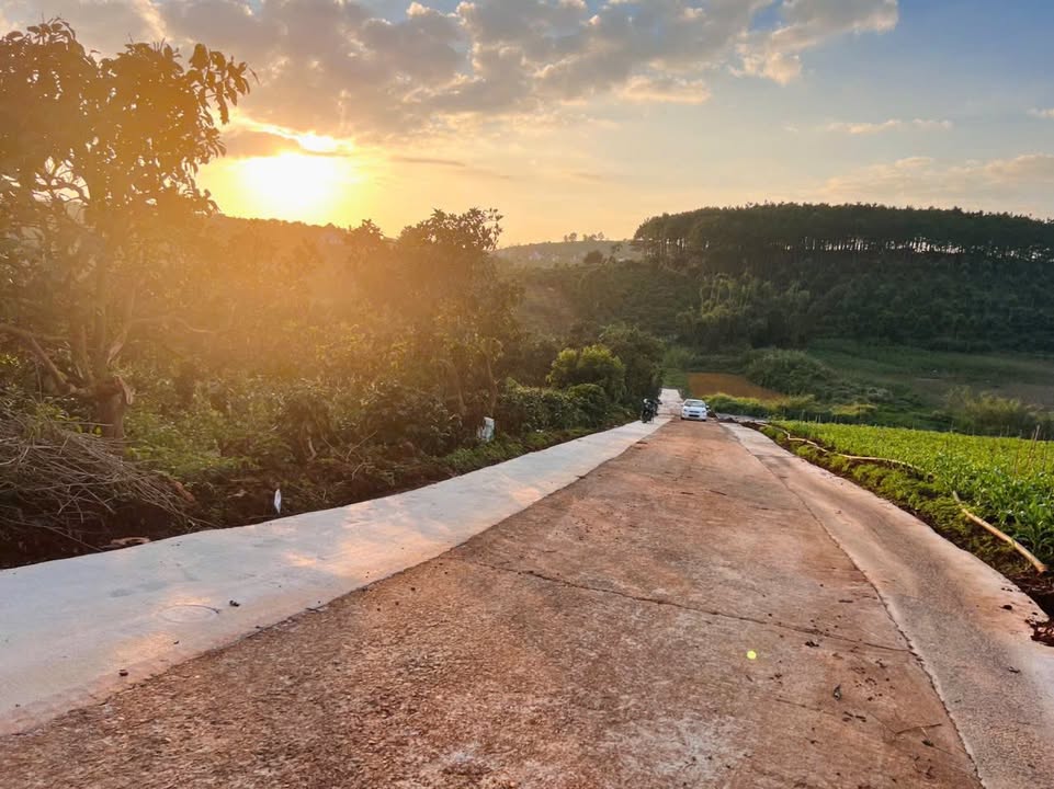 Đất nền Nam Hà 2000m² giá 2 tỷ - Cơ hội đầu tư tuyệt vời!