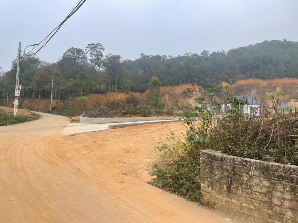 Đất nền 203m² xã Xuân Sơn, Sơn Tây, Hà Nội - Sổ đỏ chính chủ, đầu tư sinh lời!