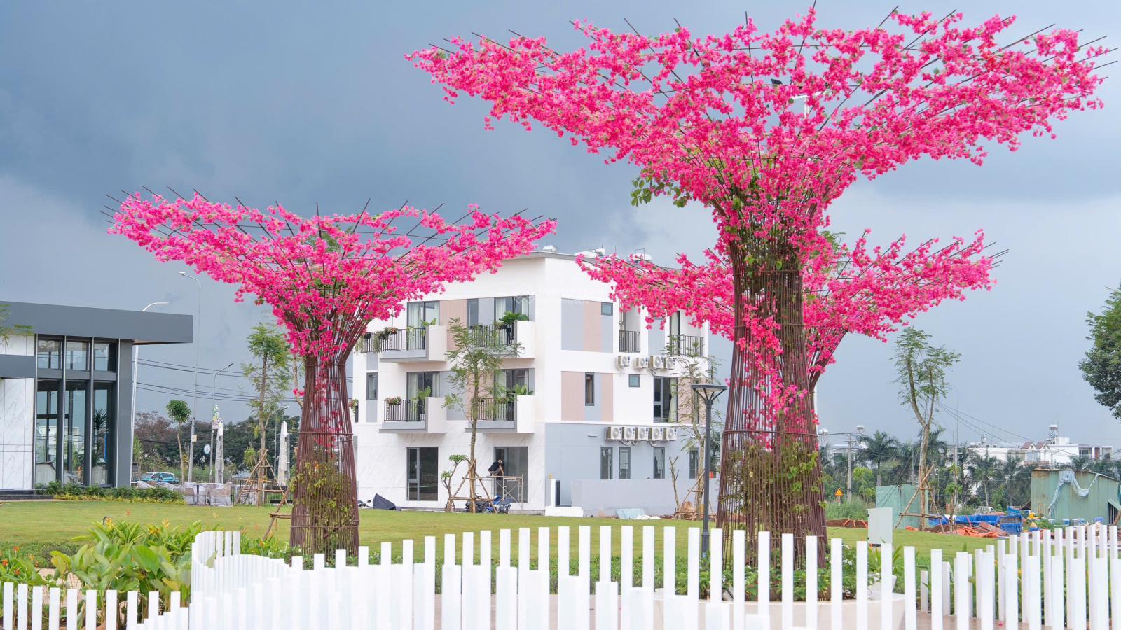 Đất nền Dầu Giây - 100m² chỉ từ 20 triệu/m², sổ riêng, vay ngân hàng 70%!