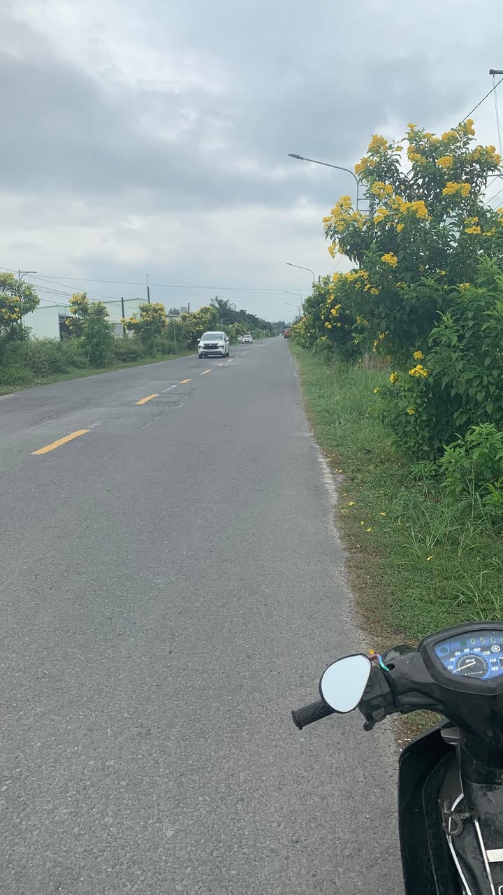 Đất nền 5.000m² tại xã Tân Sơn, Trà Cú - Giá chỉ 3 tỷ, sổ hồng chính chủ!