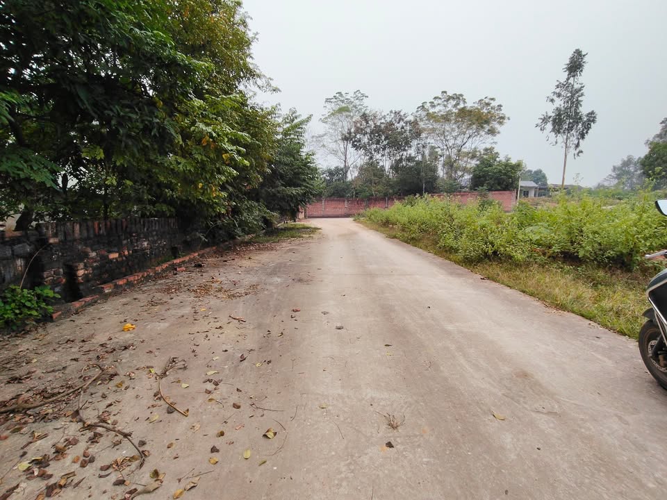 Đất nền thôn Mới, xã Hướng Đạo, Tam Dương, Vĩnh Phúc 173m² - Giá chỉ 1.6 tỷ, pháp lý rõ ràng!