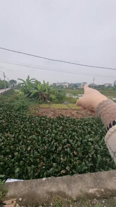 Nhà riêng Đào Xá Thắng Lợi Thường Tín 45m² giá 2.2 tỷ - Đường thông ô tô