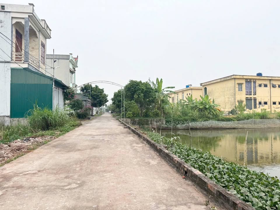 Đất nền Đông Hoàng, Tiền Hải 100m² giá 800 triệu - Hướng Nam thoáng mát