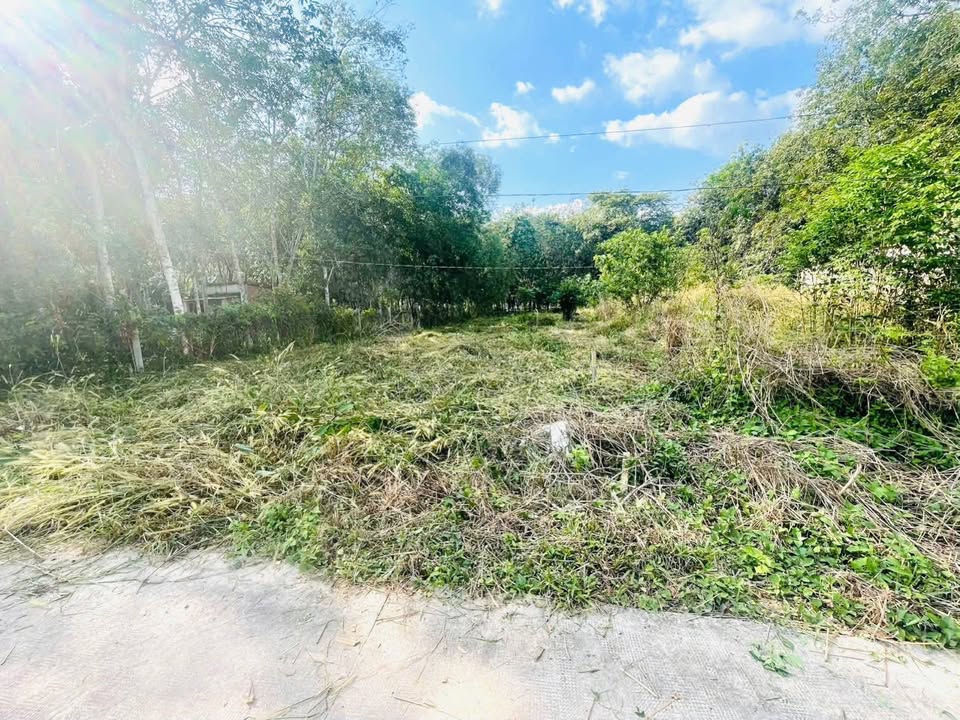 Đất nền Long Hòa, Cần Giờ 550m² giá 1 tỷ - Bán gấp trong tuần!