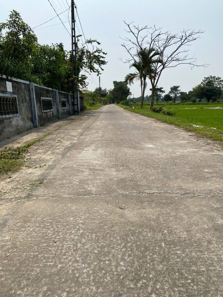 Đất nền khu phố 8 Nghi Thạch 300m² giá chỉ 30xx triệu - Cơ hội đầu tư sinh lời!